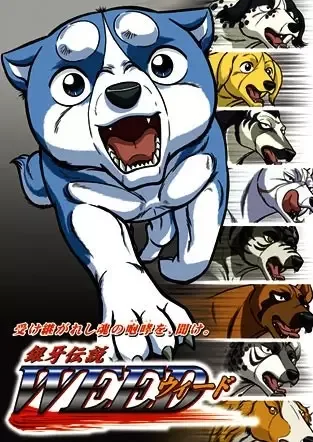 Постер к: {title}